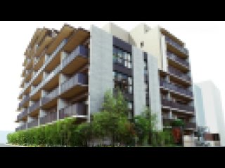parathd-4303