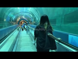 video by