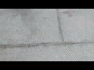 video by