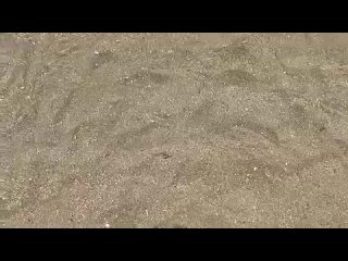 video by