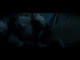 case 39 (2009)